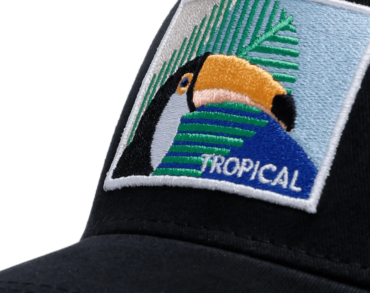 Tropical Blue